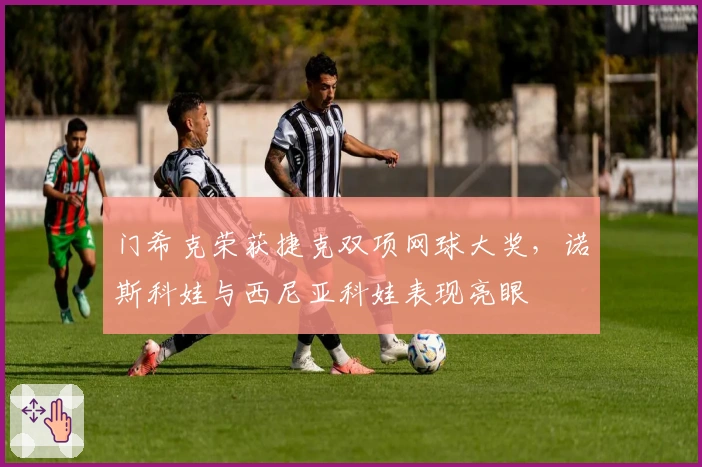 门希克荣获捷克双项网球大奖，诺斯科娃与西尼亚科娃表现亮眼