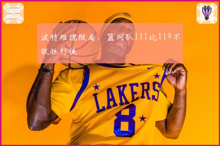 波特难挽败局，篮网队111比119不敌独行侠
